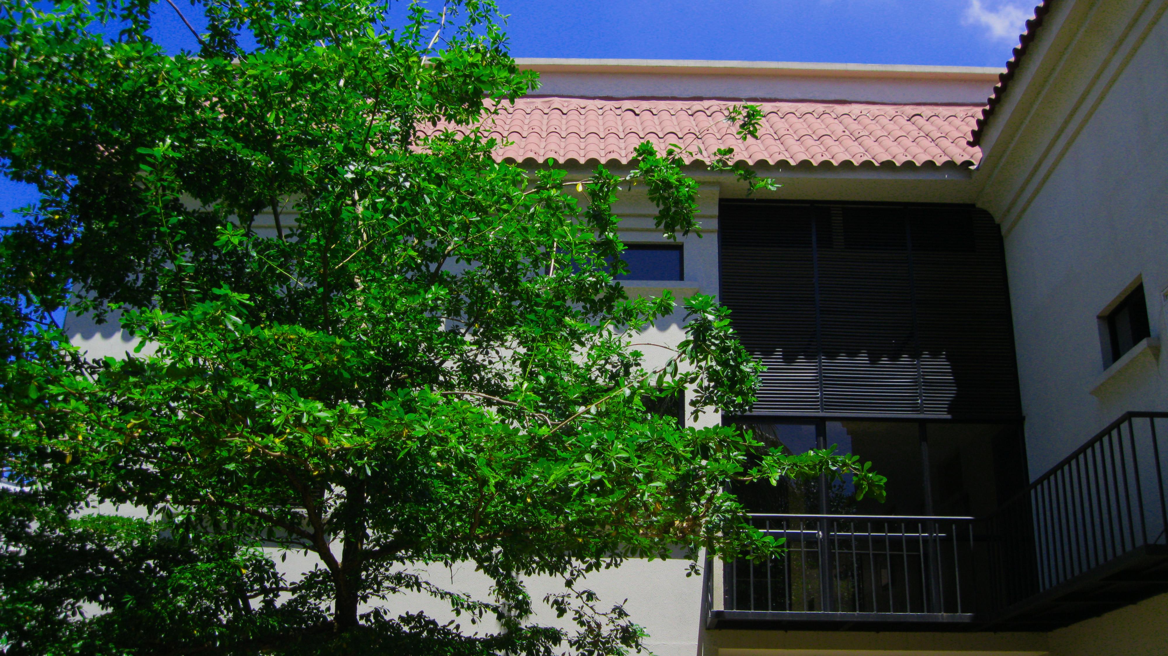 Apartterrazas Guayaquil -Suites&Lofts- Eksteriør billede
